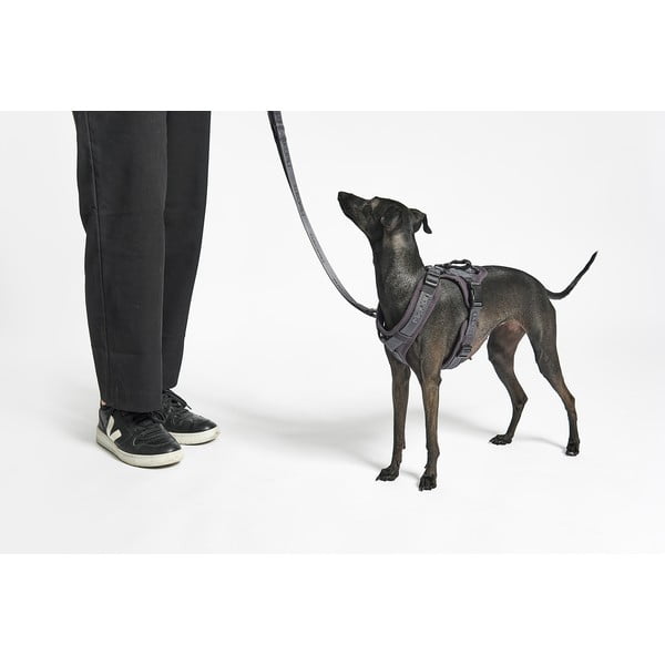 Béžový postroj velikost XS délka 25 cm Modena Greige XS – MiaCara-image-2