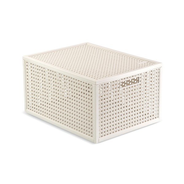 Krémový úložný box s víkem z recyklovaného plastu 30x38x21 cm Kaya – Curver