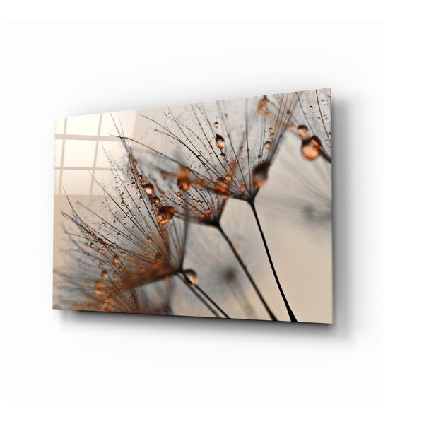 Skleněný obraz Insigne Cinnamon Dandelion, 72 x 46 cm
