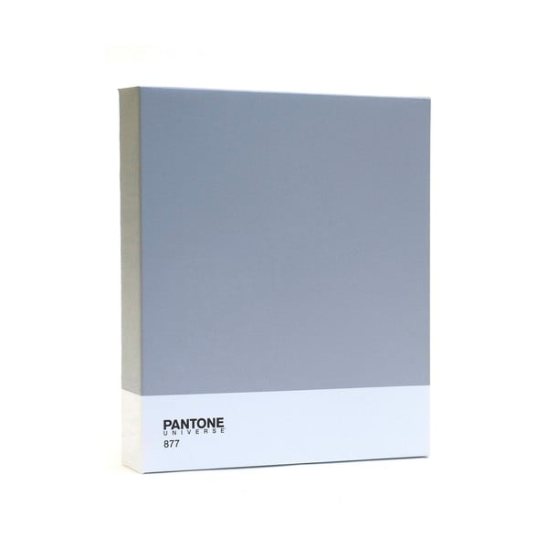 Obraz Pantone 877 Classic Silver