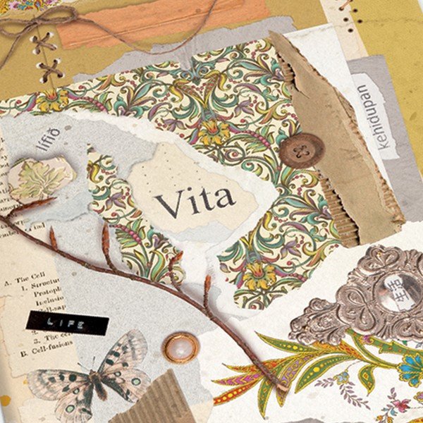 Sešity v sadě 2 ks 192 stránek formát A5 Vita – Kartos-image-3