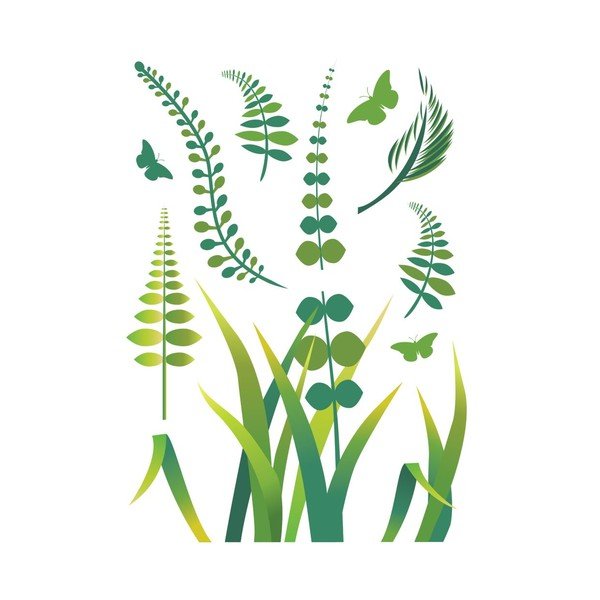 Samolepka Ferns-image-3