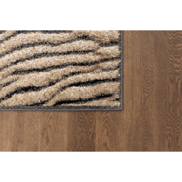 Hnědý koberec 160x220 cm Avanti – FD-image-3