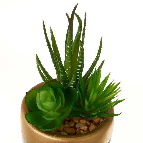Umělé rostliny v sadě 4 ks (výška 17 cm) Cactus – Casa Selección-image-2