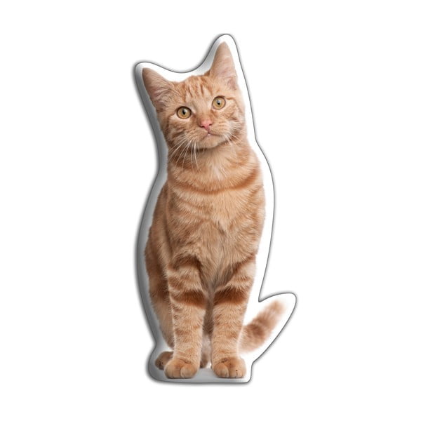 Polštářek s potiskem zrzavé kočky Adorable Cushions