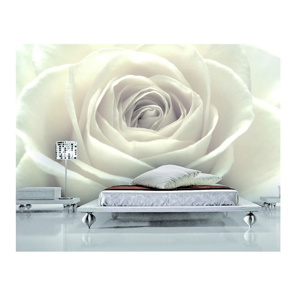 Tapeta Bílá růže, 400x280 cm