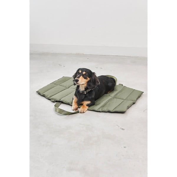 Zelený cestovní pelíšek pro psa 70x100 cm Strada Grolive M – MiaCara-image-3