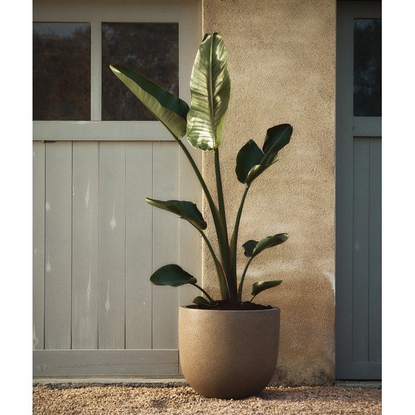 Obaly na květináče v sadě 2 ks z cementu ø 44 cm Selvi – Kave Home-image-1