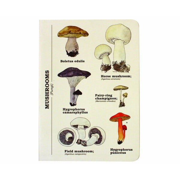 Zápisník Gift Republic Multi Mushroom, vel. A6