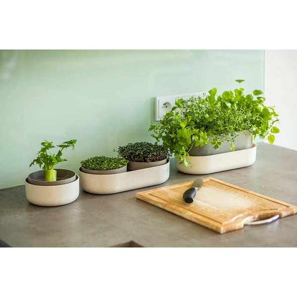 Sada klíčících misek Velká farma Microgreens & Regrow - Plastia-image-4