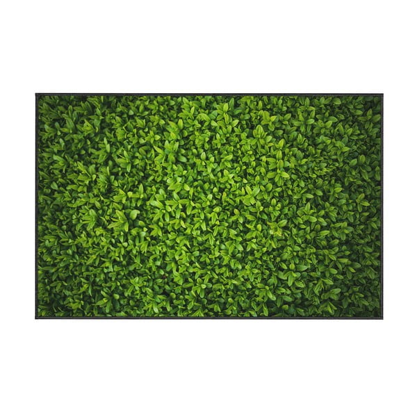 Zelený koberec Oyo home Ivy, 100 x 140 cm
