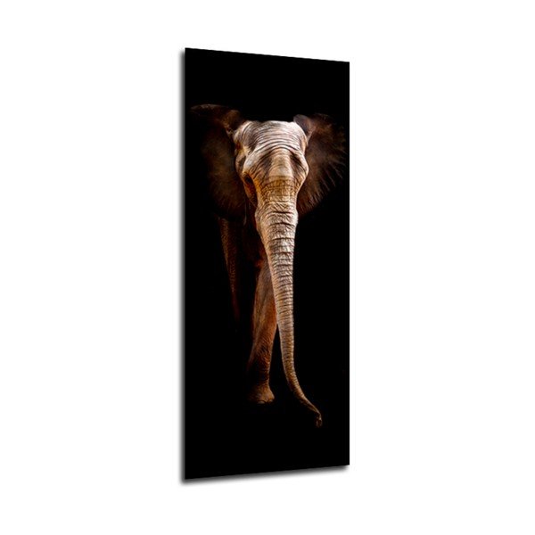 Obraz Styler Elephant, 125 x 50 cm-image-1