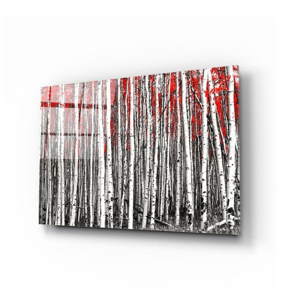 Skleněný obraz Insigne Birches