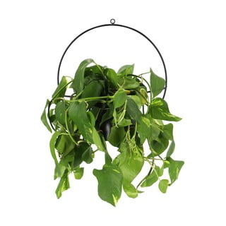 Černý nástěnný držák na květináč Esschert Design Planter