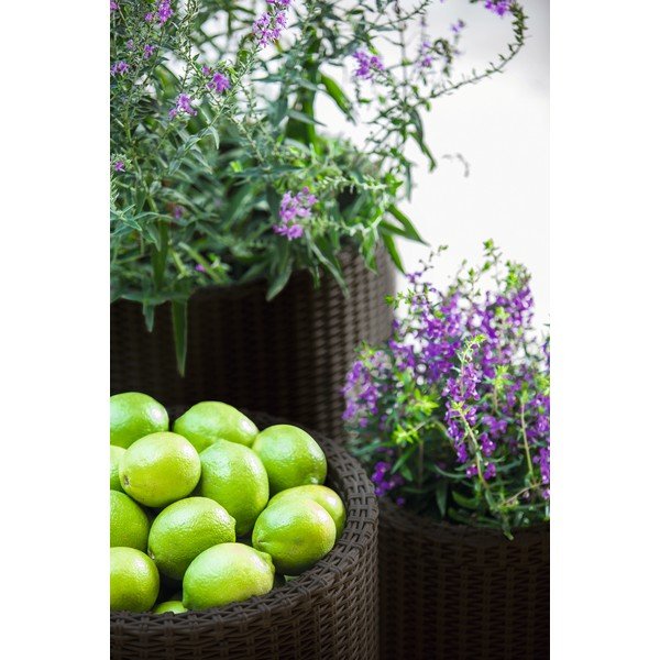 Plastové květináče v sadě 3 ks ø 43 cm Cylinder – Keter-image-1