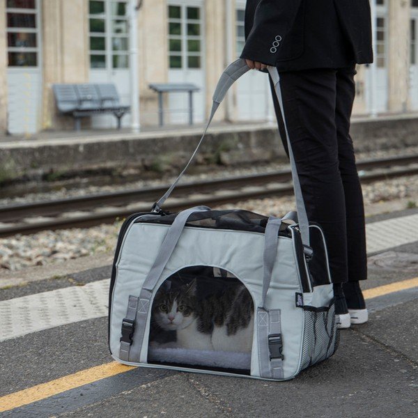 Přepravní taška pro domácího mazlíčka 25,5x48 cm – Love Story-image-1
