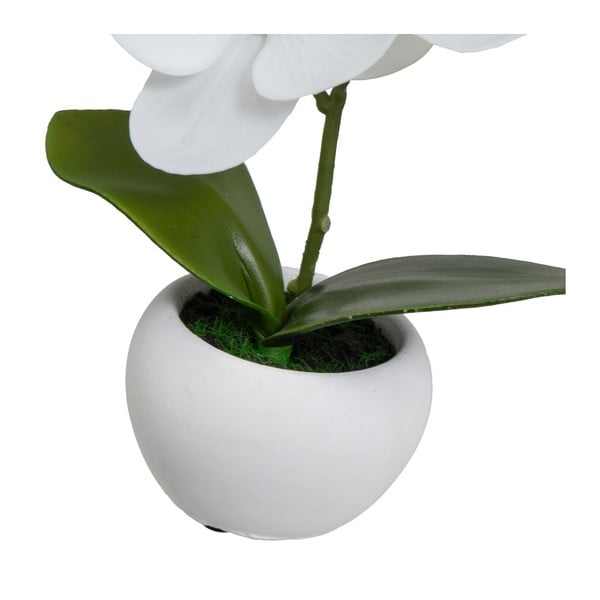 Umělé rostliny v sadě 3 ks (výška 15 cm) Orchid – Casa Selección-image-2