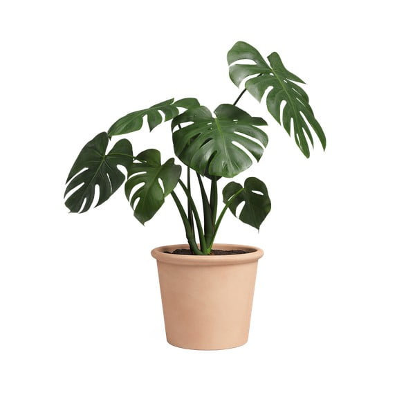 Květináč z terakoty ø 39 cm Saramago Cilindro – Artevasi-image-1