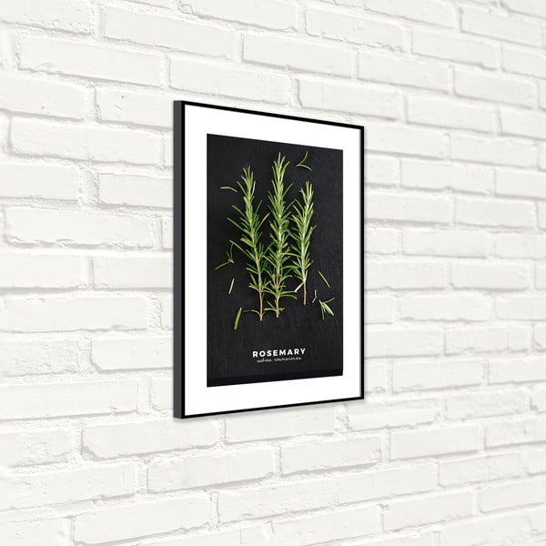 Obraz 50x70 cm Rosemary – Styler-image-4