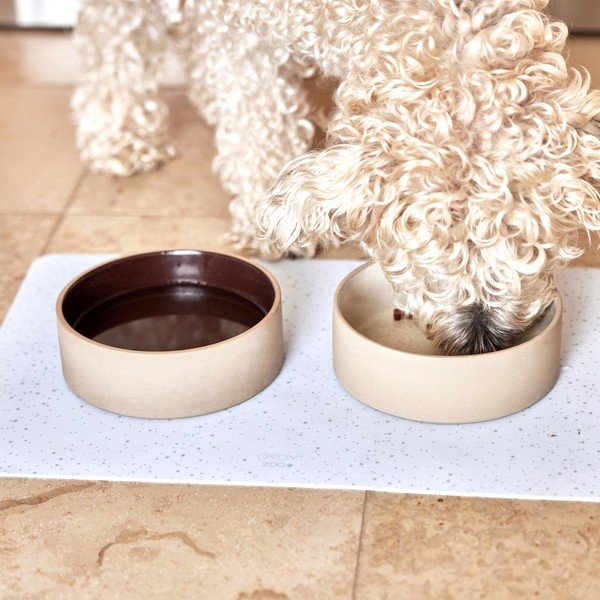 Keramická miska pro psa ø 13 cm Sia – OYOY Living Design-image-3