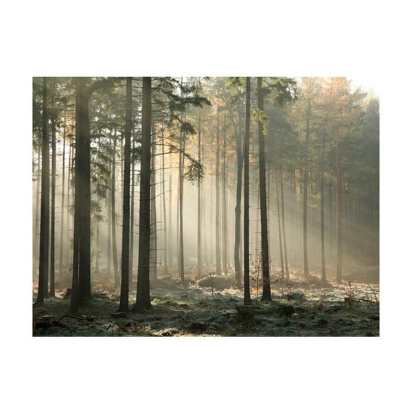 Velkoformátová tapeta Artgeist Foggy November Morning, 400 x 309 cm