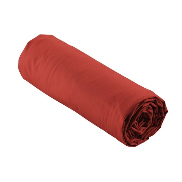 Napínací prostěradlo z bavlněného perkálu v cihlové barvě 180x200 cm Percaline – douceur d'intérieur-image-4