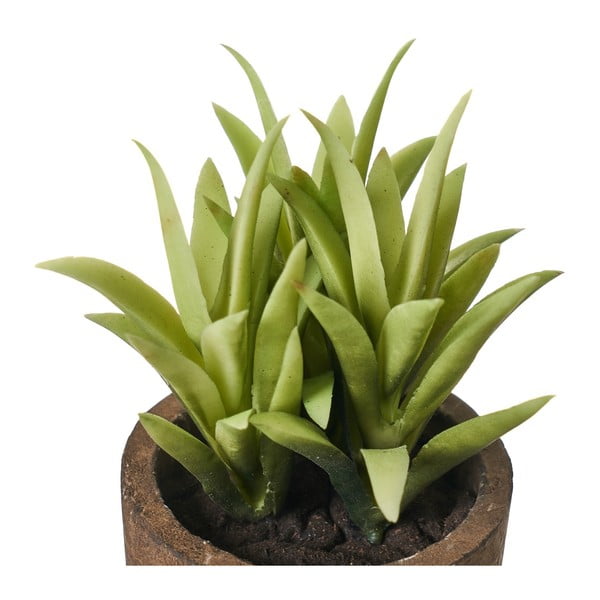 Umělé rostliny v sadě 4 ks (výška 10 cm) Cactus – Casa Selección-image-3
