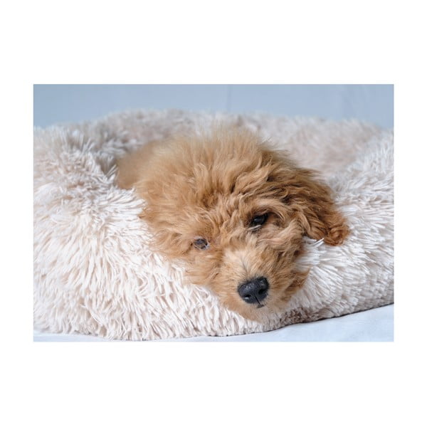 Krémový pelíšek pro psa ø 55 cm – Love Story-image-3