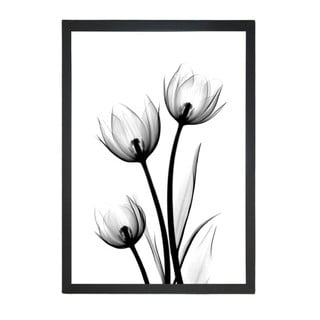 Plakát 23x28 cm Scented Flowery – Tablo Center