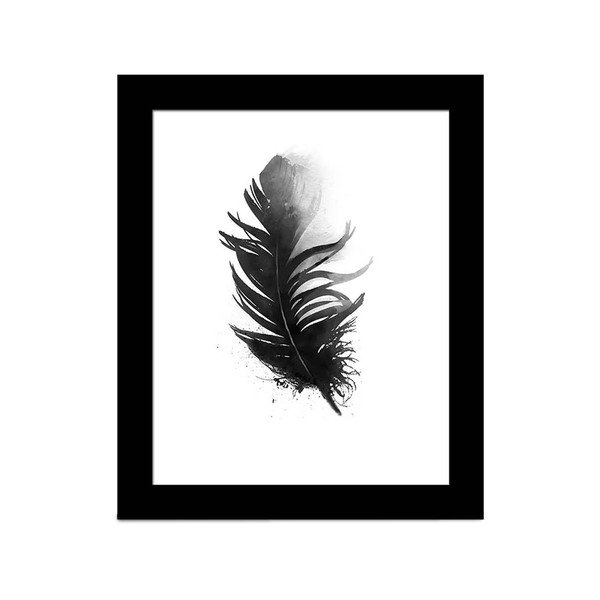 Obraz Alpyros Feather, 23 x 28 cm