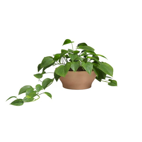 Květináč z terakoty ø 31 cm Saramago – Artevasi-image-1