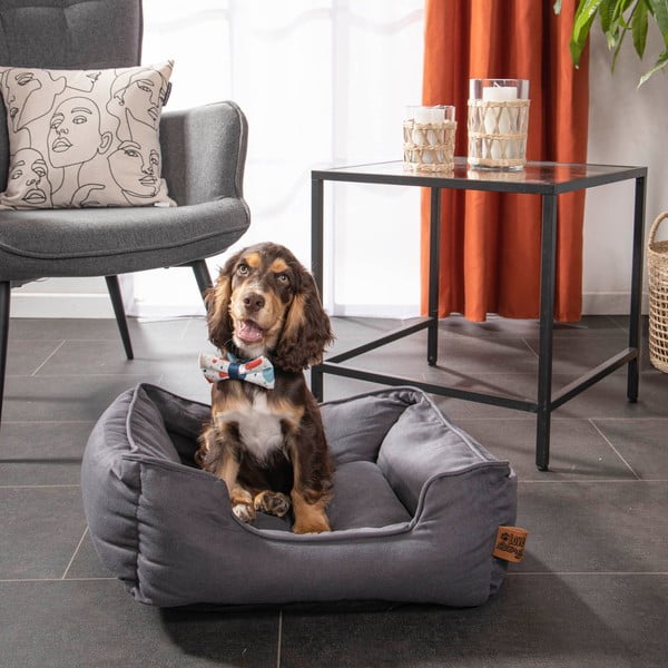 Modrý pelíšek pro psa 50x55 cm – Love Story-image-3