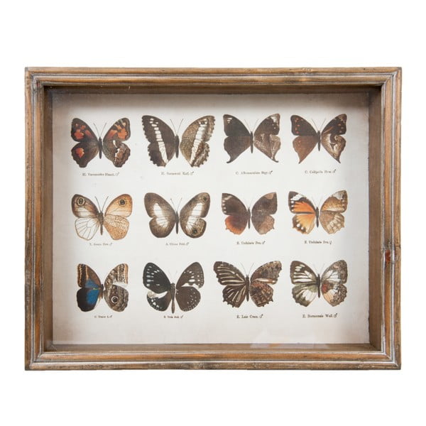 Obraz Clayre & Eef Butterflies Collection, 35 x 28 cm