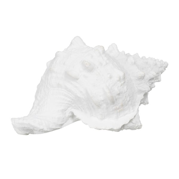 Soška z polyresinu (výška 12 cm) Seashell – Ixia-image-2