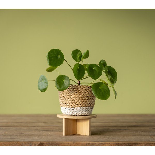 Bambusový stojan na květiny ø 18 cm – Esschert Design-image-3