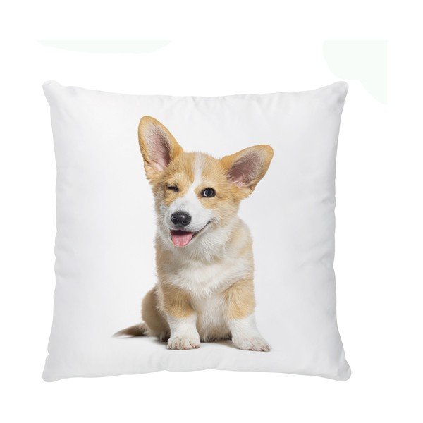 Dětský polštářek z bavlněného saténu 45x45 cm The Cutest Ones – Butter Kings-image-2