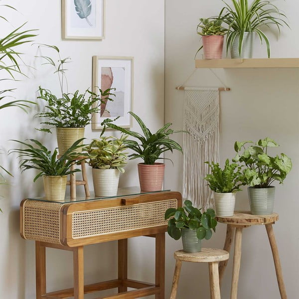 Keramický květináč ø 19 cm Canberra Effekt - Big pots-image-1