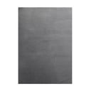 Šedý pratelný koberec 120x170 cm Sky – Ayyildiz Carpets