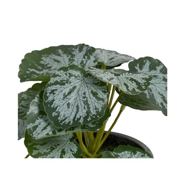 Umělá rostlina (výška 21,5 cm) Saxifraga – Ixia-image-1