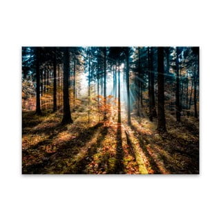 Obraz Styler Glasspik Autumn Sunset, 70 x 100 cm