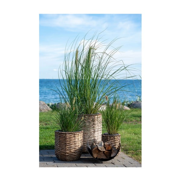 Květináče z vodního hyacintu v sadě 3 ks ø 49 cm Hanoi – House Nordic-image-1