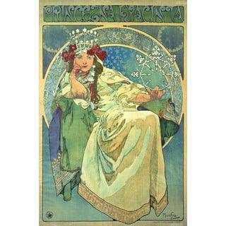 Reprodukce obrazu 40x60 cm Princess Hyazin - Fedkolor