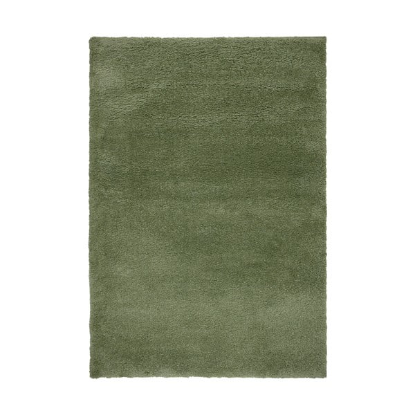 Zelený koberec 160x230 cm – Flair Rugs