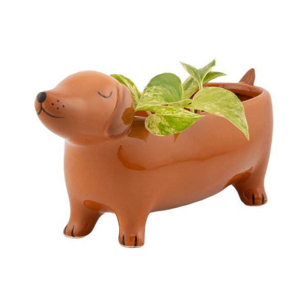 Keramický obal na květináč Sausage Dog – Sass & Belle-image-4