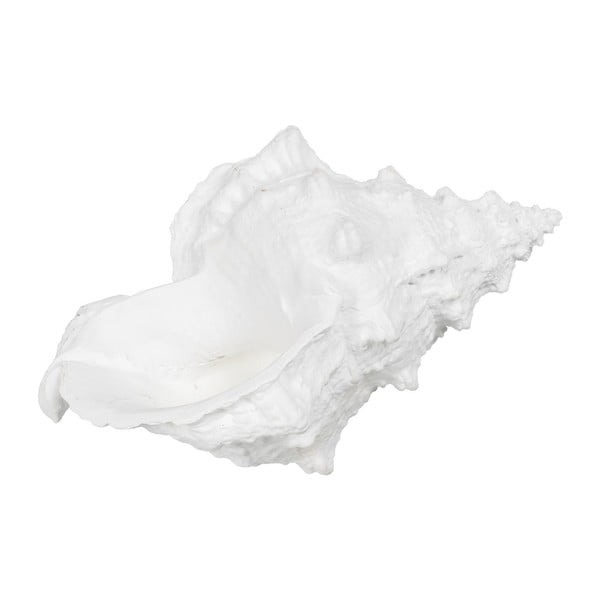 Soška z polyresinu (výška 12 cm) Seashell – Ixia-image-4