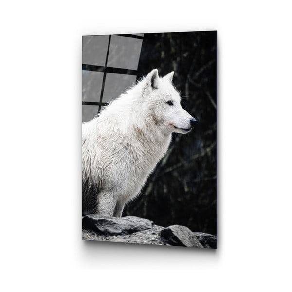 Skleněný obraz 70x100 cm White Wolf – Wallity-image-4