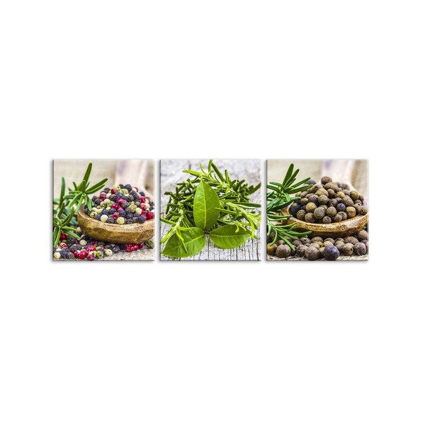 Sada 3 obrazů Styler Glasspik Set Spices Dos