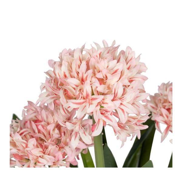 Umělá květina (výška 100 cm) Hyacinth – Ixia-image-1