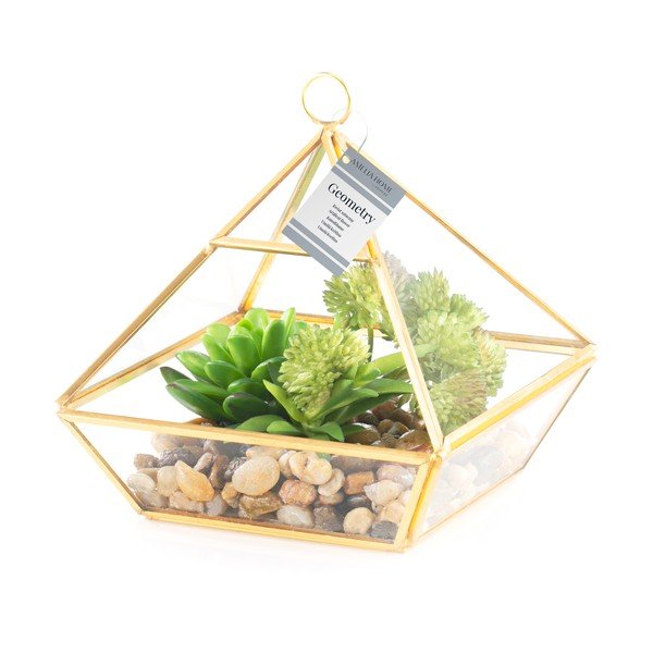 Umělý sukulent (výška 15,5 cm) Geometry – AmeliaHome