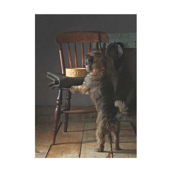 Kameninová miska pro psy Mason Cash Pet Cane Dog, ø 25 cm-image-4